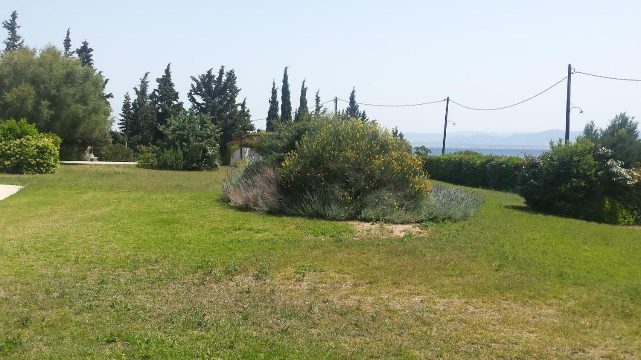 فيلا Beautiful House By The Sea,Loutraki Skaloma. المظهر الخارجي الصورة
